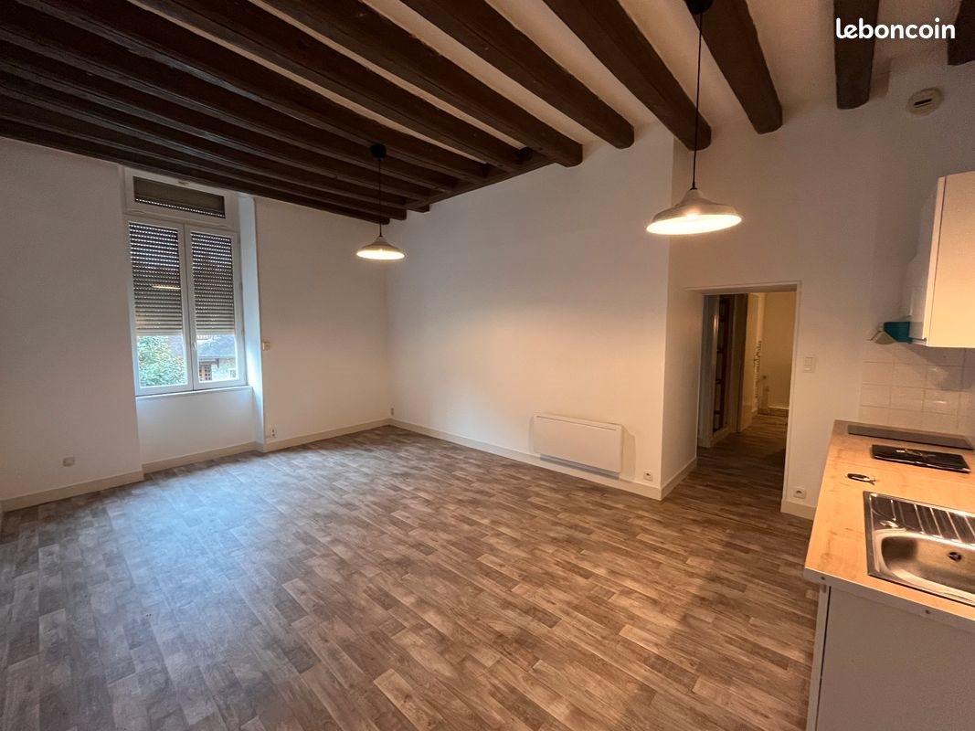 Appartement à louer, 51m², Châtillon-sur-Loire