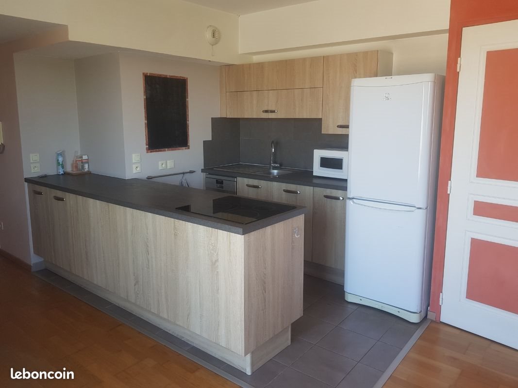 Appartement à louer, 47m², Villeurbanne