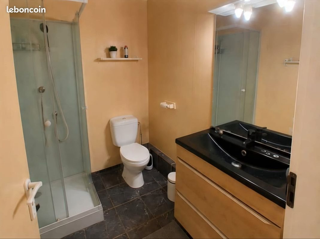 Appartement à louer, 46m², Strasbourg