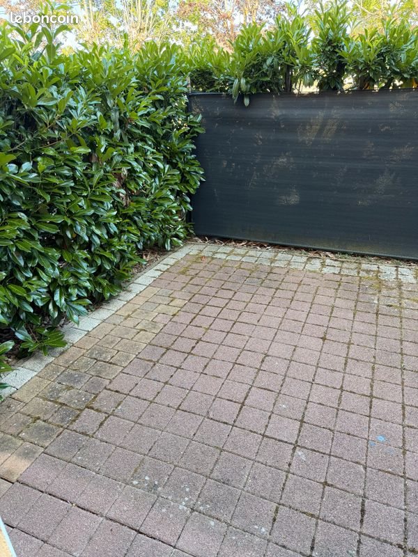 Appartement à louer, 52m², Dieuze
