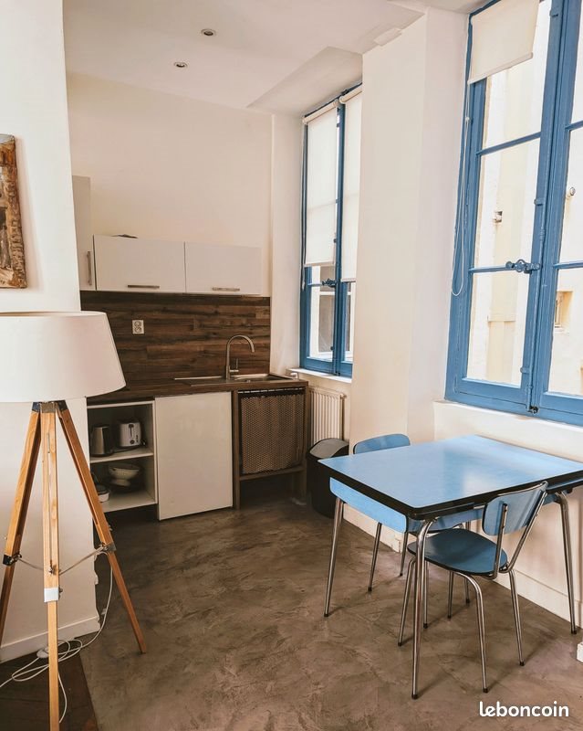 Appartement à louer, 32m², Lyon 1er