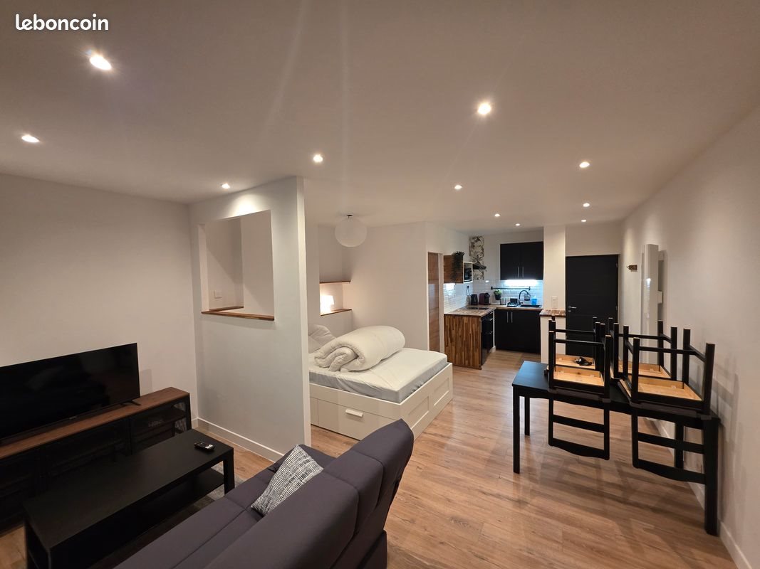 Appartement à vendre, 31m², Saint-Etienne