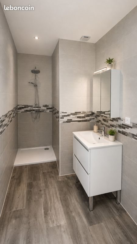 Appartement à louer, 55m², Saïx