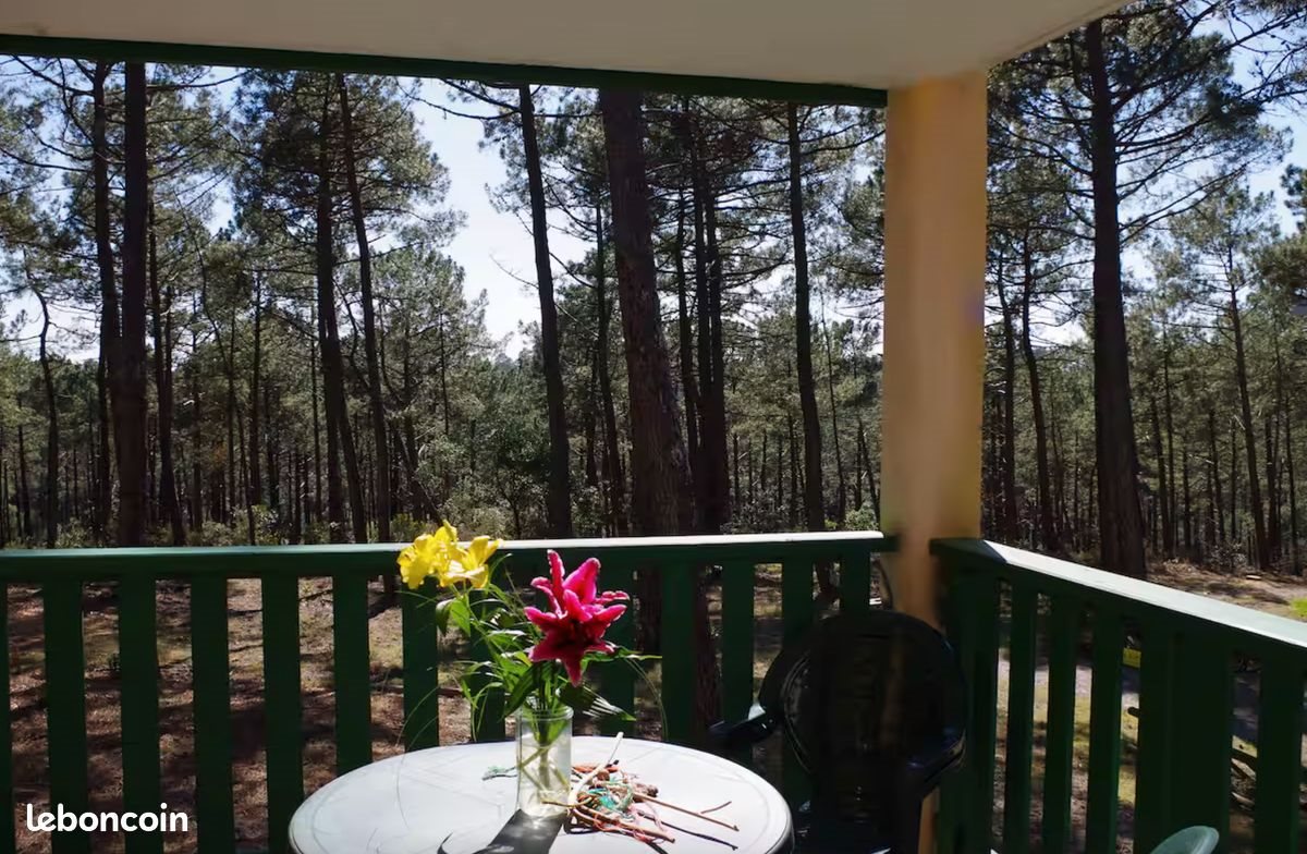 Appartement à louer, 30m², Carcans