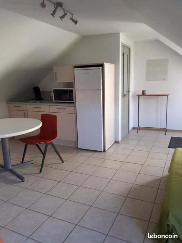 Appartement à louer, 35m², Gambsheim