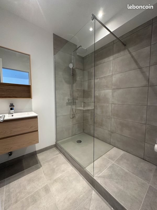 Appartement à louer, 43m², Saint-Etienne
