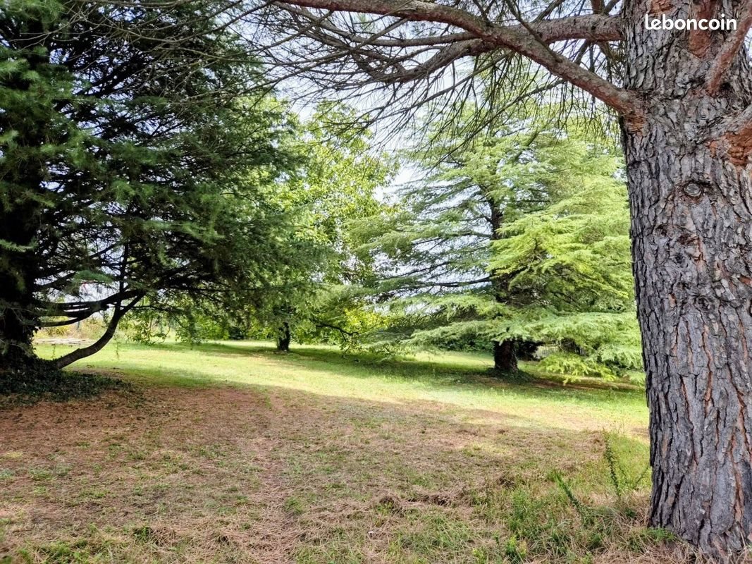 Maison à vendre, 234m², Malaucène
