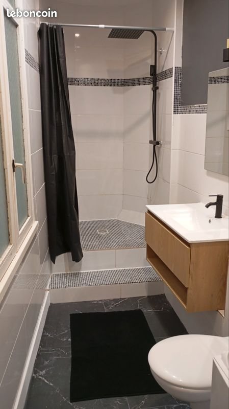 Appartement à louer, 50m², Nancy