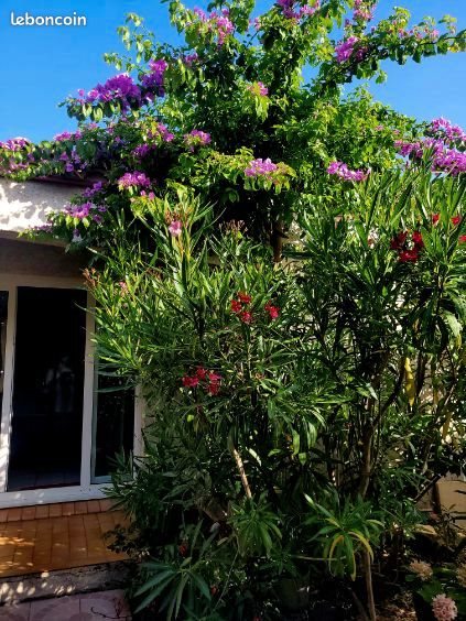 Maison à vendre, 90m², Agde (Cap d'Agde)