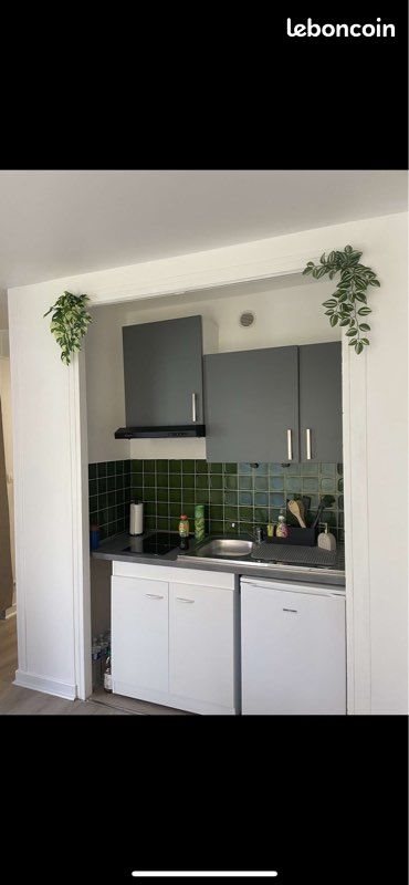 Appartement à louer, 30m², Nancy