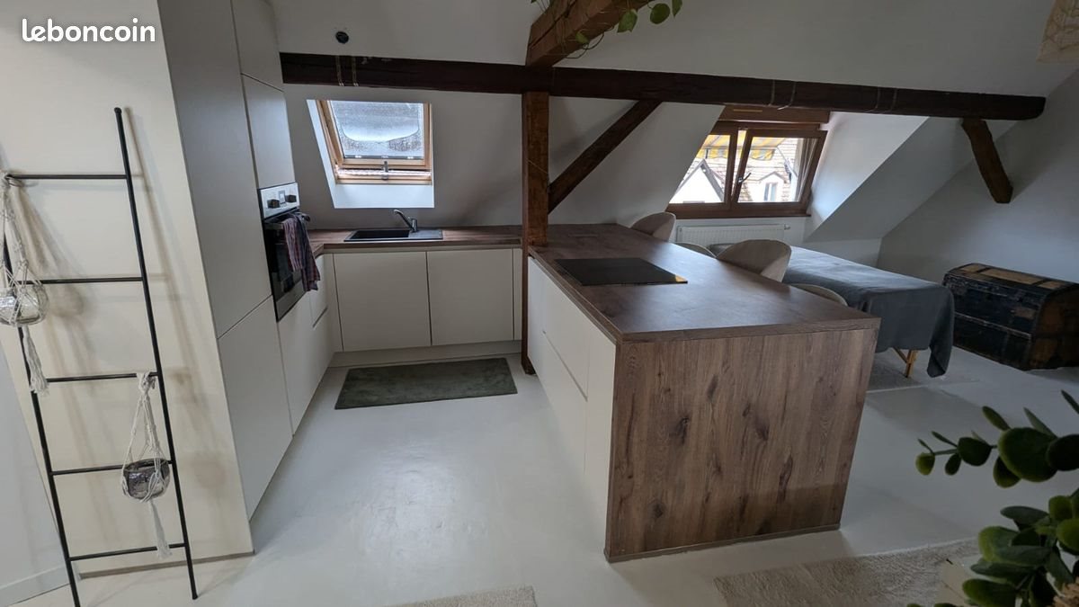 Appartement à louer, 50m², Erstein