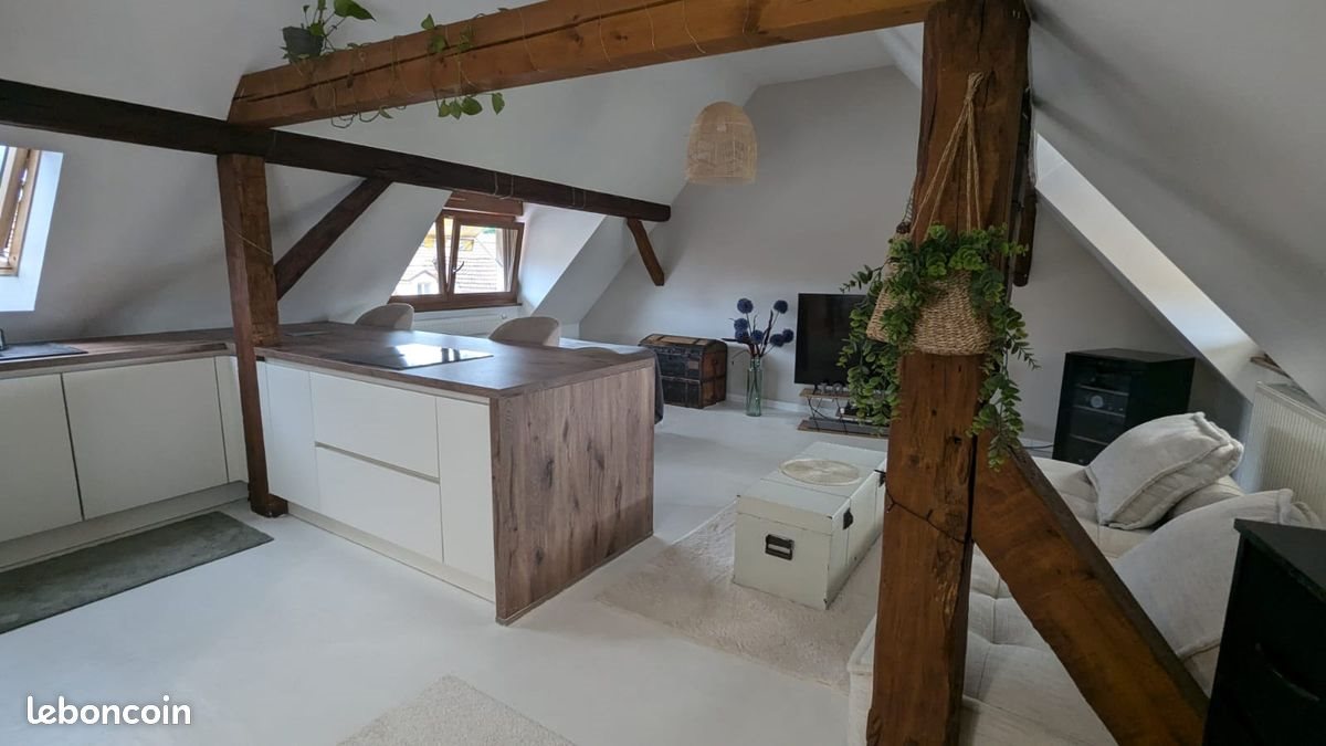Appartement à louer, 50m², Erstein
