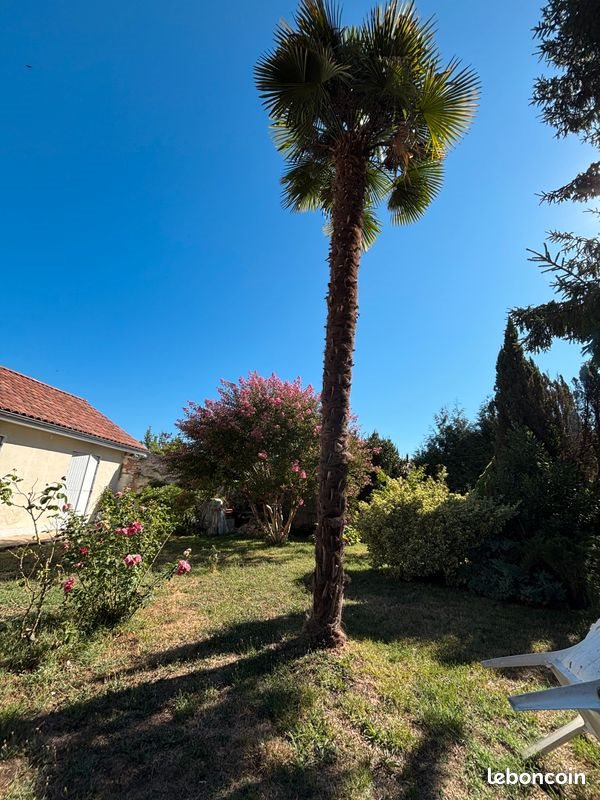 Maison à vendre, 83m², Le Buisson-de-Cadouin