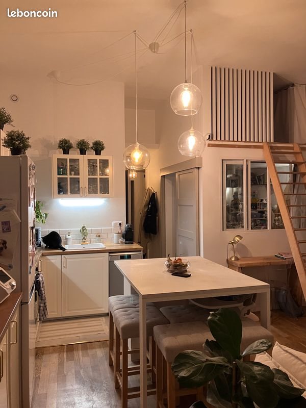 Appartement à louer, 48m², Lyon 7ème