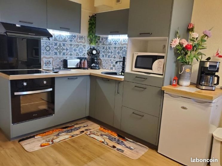 Appartement à vendre, 44m², Besse-et-Saint-Anastaise