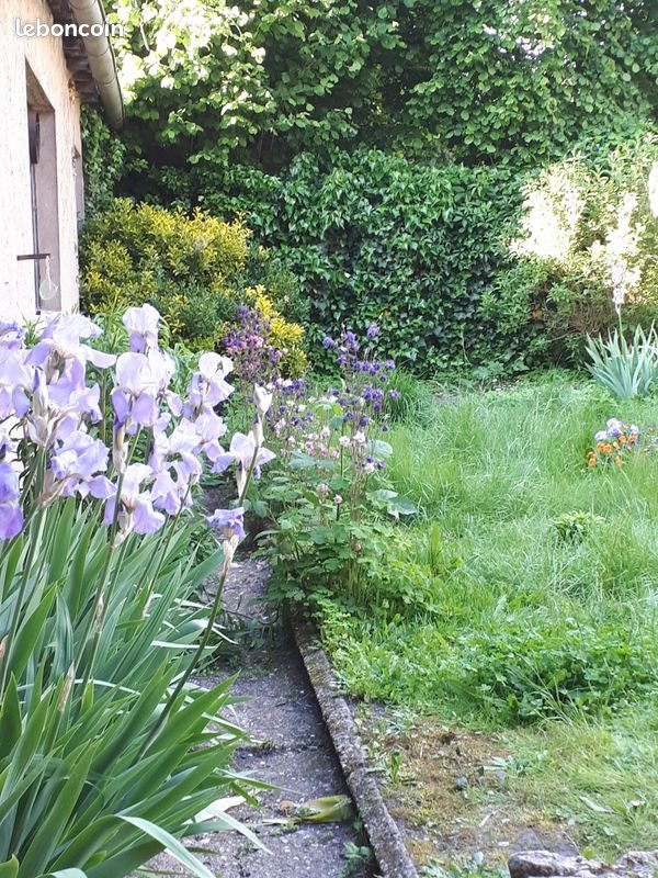 Appartement à louer, 30m², Sarreguemines