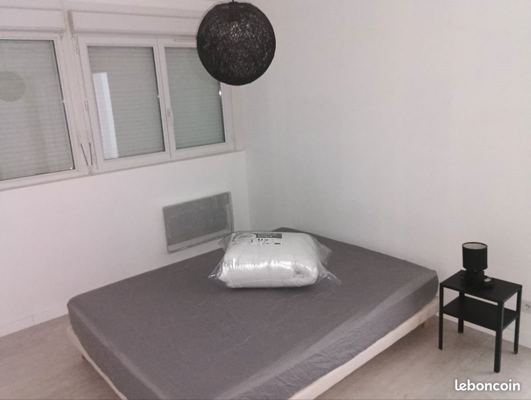 Appartement à louer, 52m², Chabris