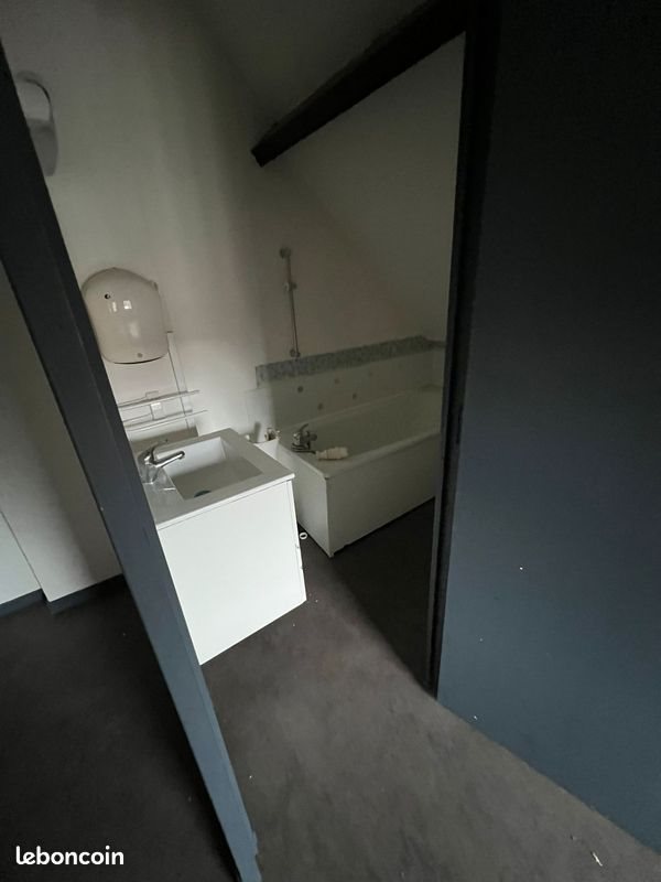 Appartement à louer, 35m², Saint-Amand-les-Eaux