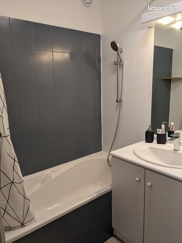 Appartement à louer, 54m², Toulouse
