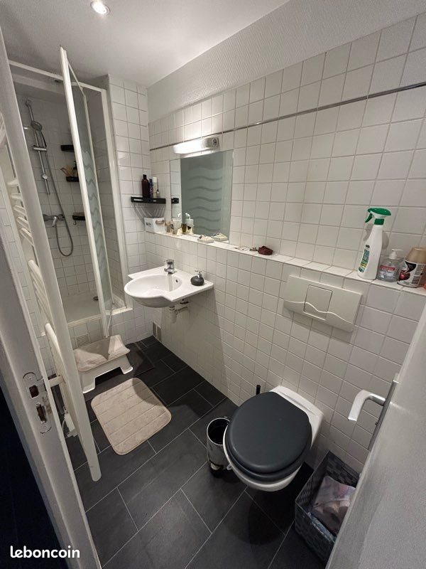 Appartement à louer, 35m², Paris 15ème