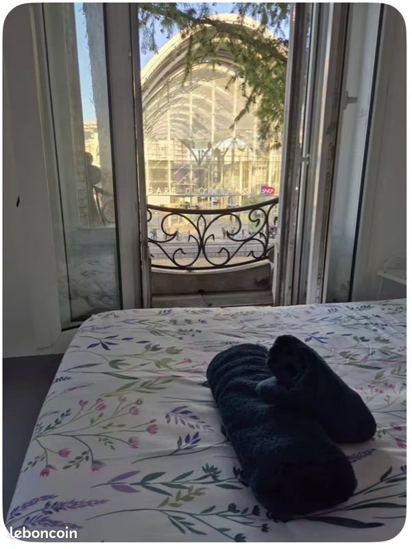 Appartement à louer, 25m², Orléans