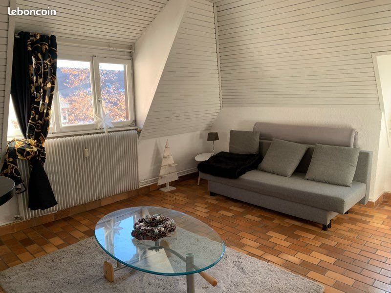 Appartement à louer, 25m², Colmar