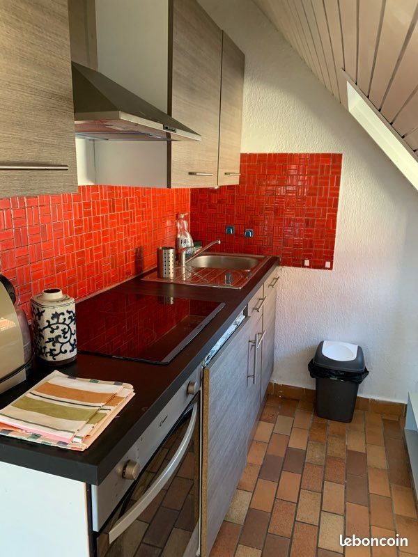 Appartement à louer, 25m², Colmar