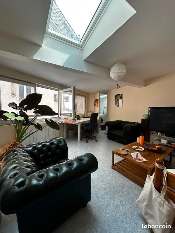 Appartement à louer, 57m², Angers