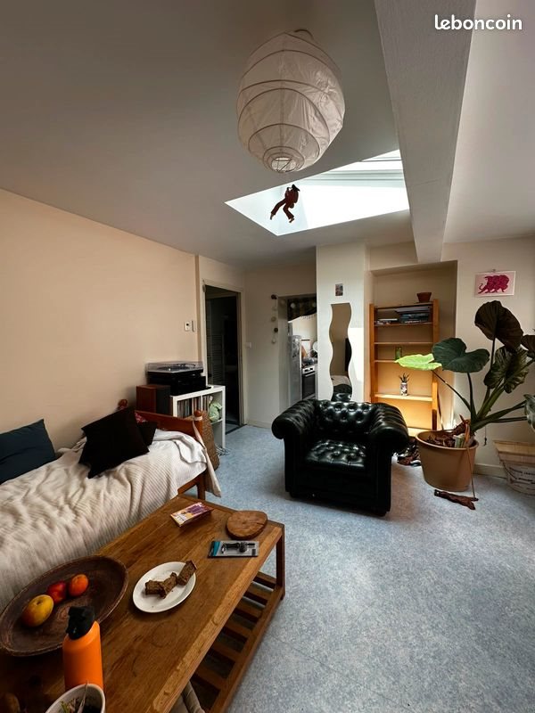 Appartement à louer, 57m², Angers