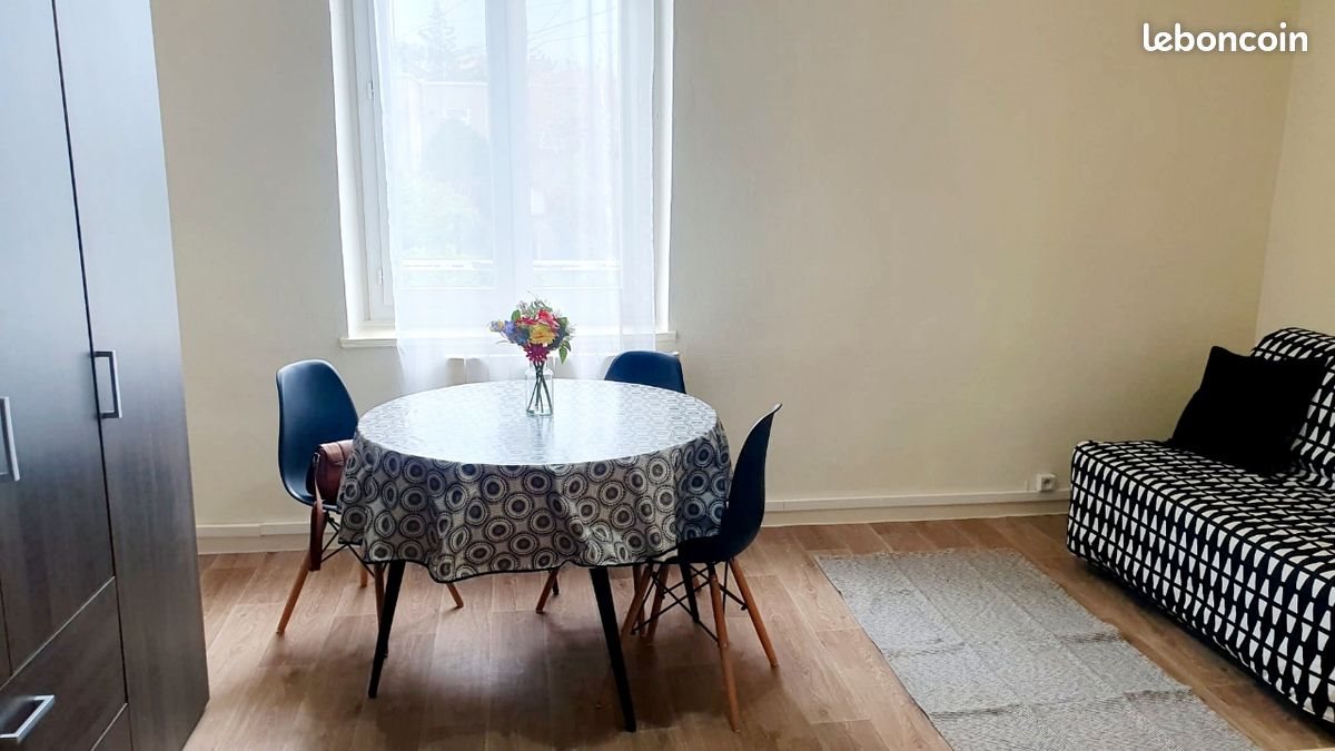 Appartement à louer, 18m², Bron