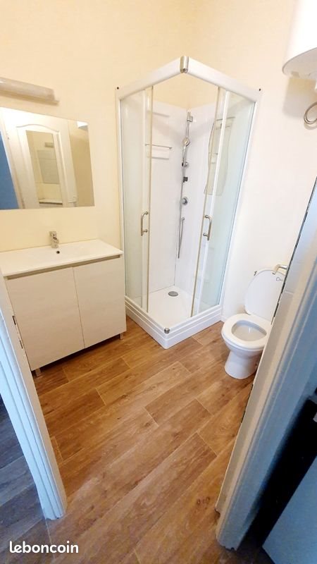 Appartement à louer, 18m², Bron