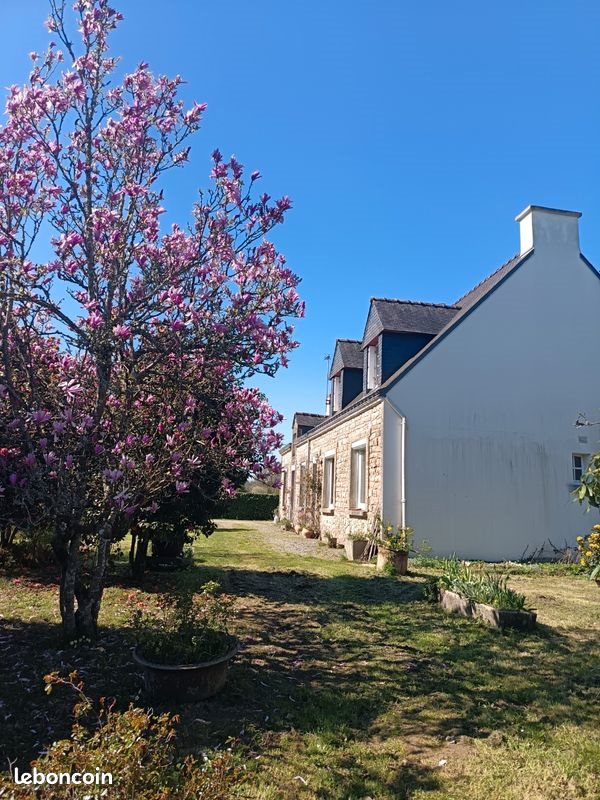 Maison à vendre, 100m², Colpo