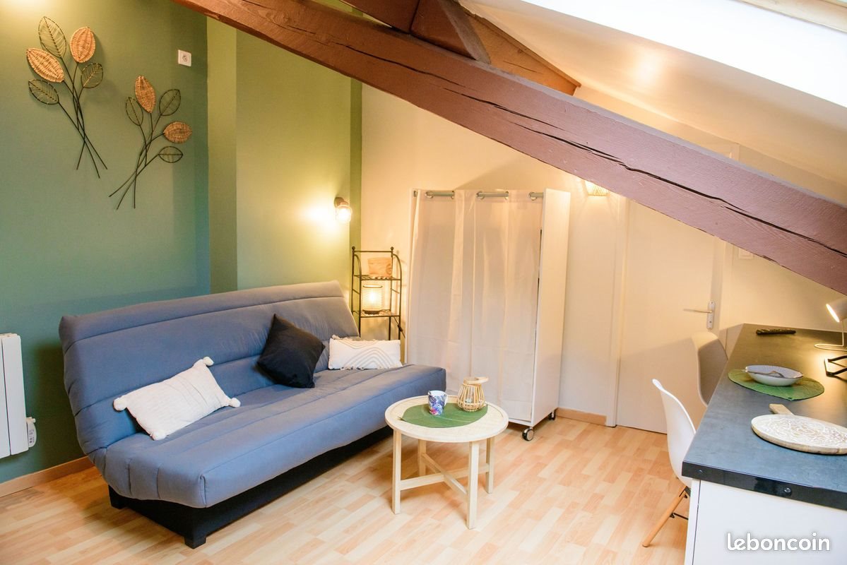 Appartement à louer, 18m², Saint-Etienne