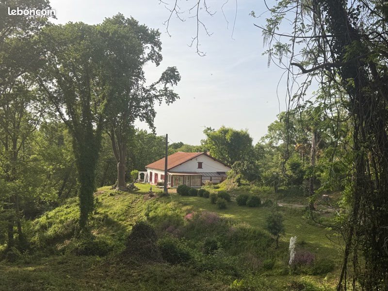 Maison à vendre, 200m², Urt