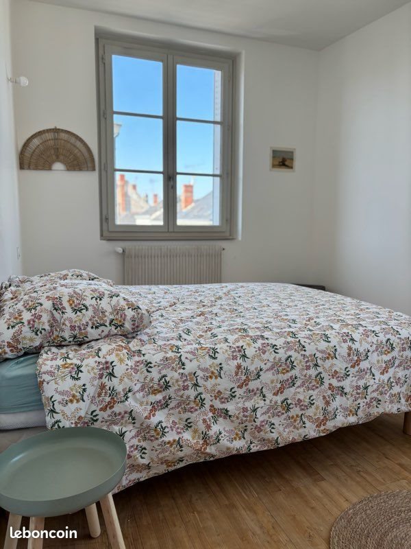 Appartement à louer, 50m², Saumur
