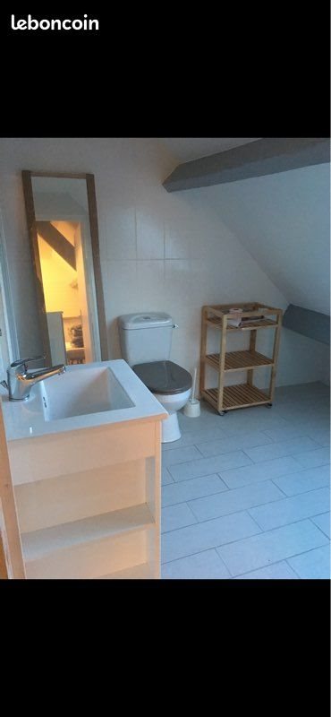 Appartement à louer, 18m², Saint-Cyr-en-Val
