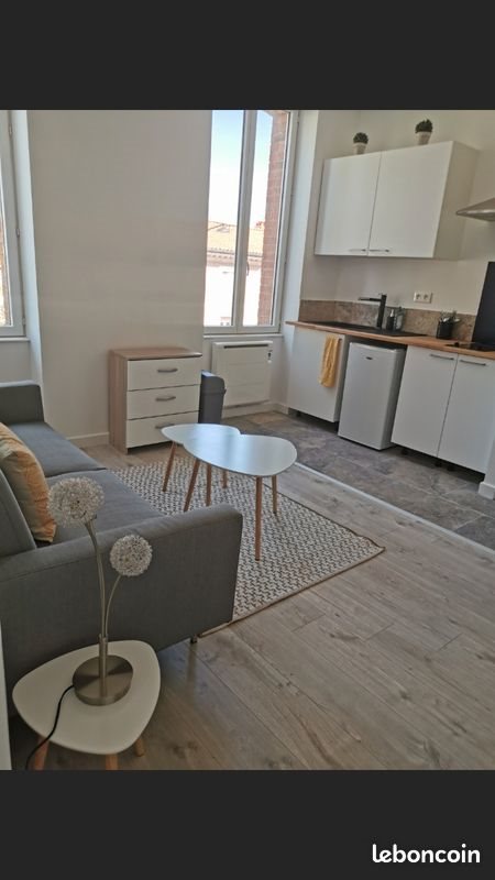 Appartement à louer, 30m², Albi