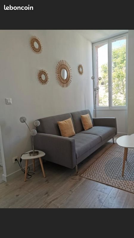 Appartement à louer, 30m², Albi
