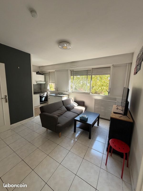 Appartement à louer, 38m², Villeurbanne