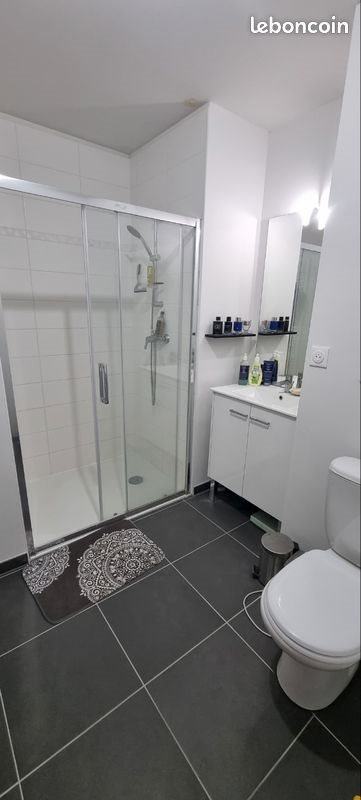 Appartement à louer, 41m², Lille