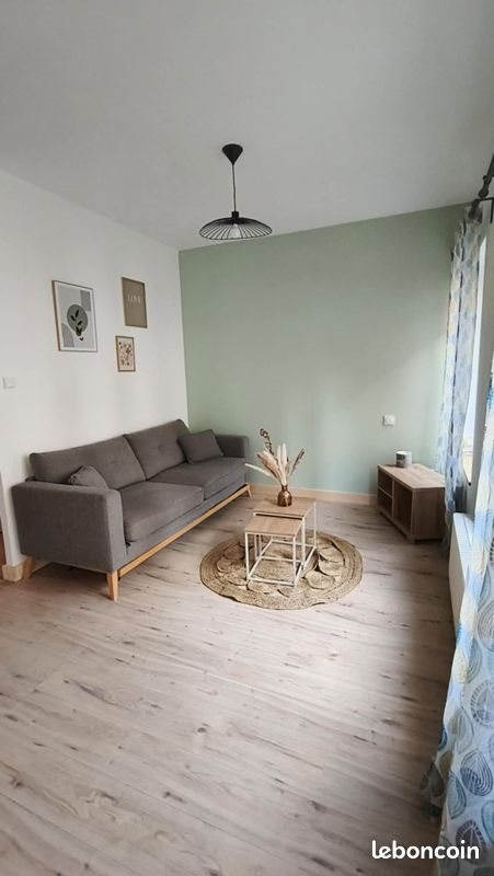 Appartement à louer, 46m², Saint-Etienne