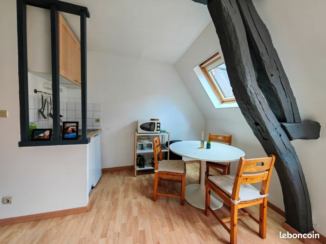 Appartement à louer, 20m², Rouen