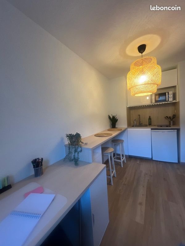 Appartement à louer, 21m², Lyon 8ème