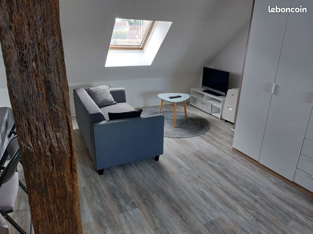 Appartement à louer, 35m², Cour-Cheverny