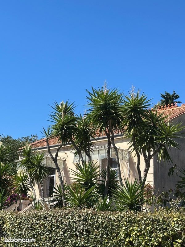 Maison à vendre, 90m², Toulon