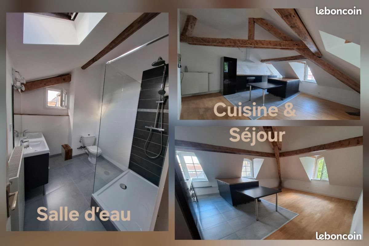 Appartement à louer, 97m², Metz