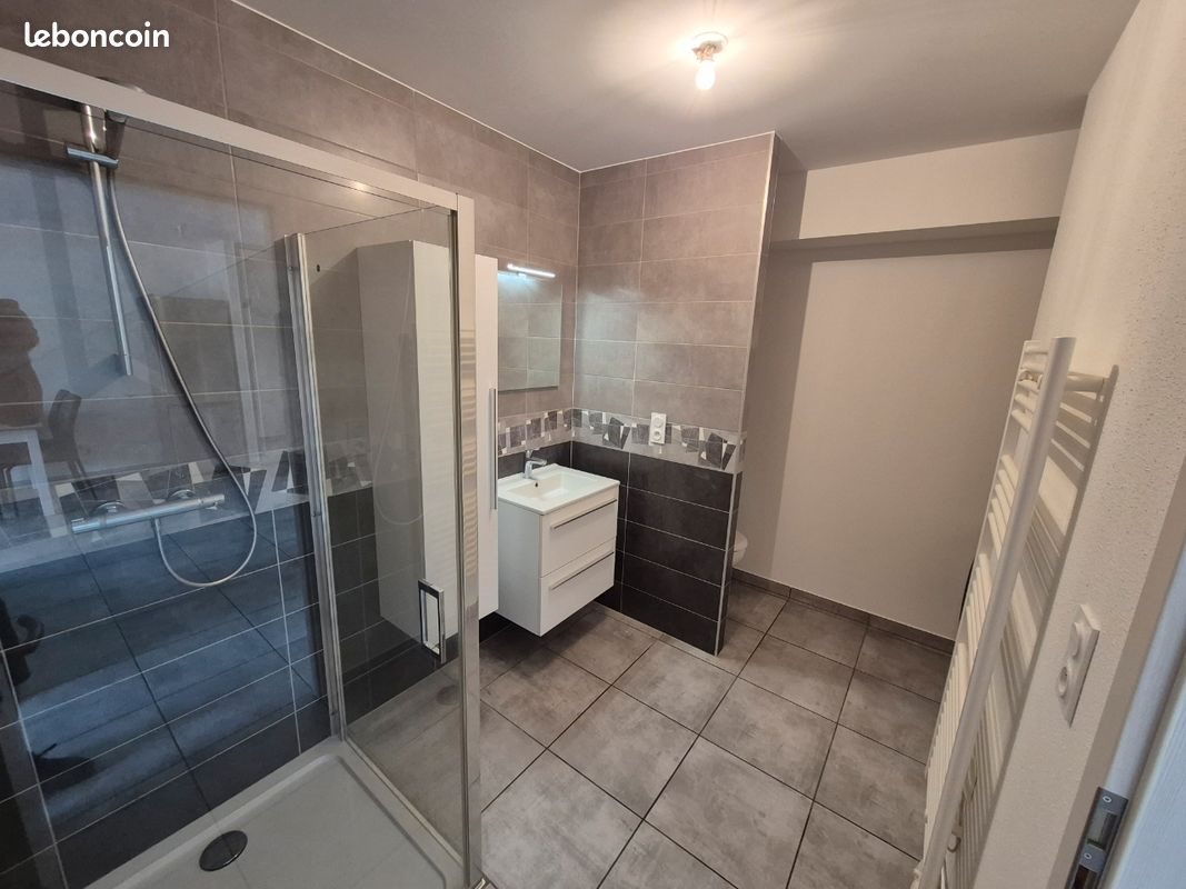 Appartement à louer, 48m², Oye-et-Pallet
