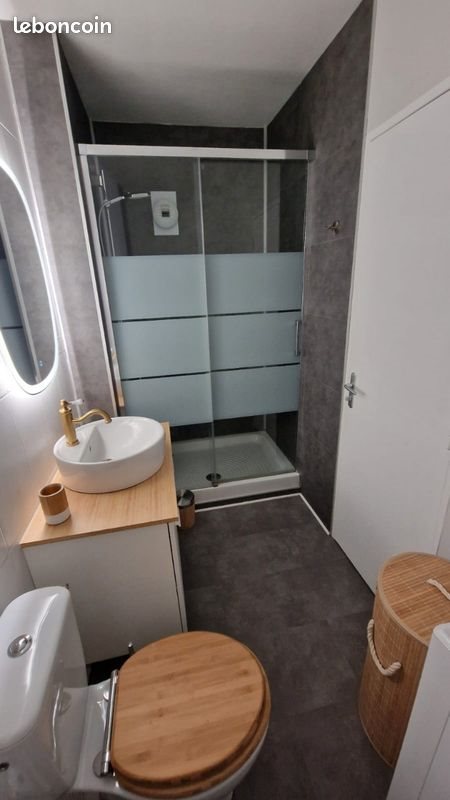 Appartement à louer, 47m², Metz