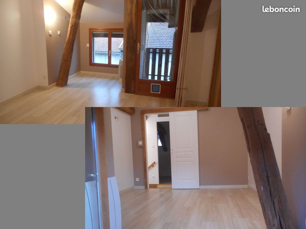 Appartement à louer, 45m², Condeissiat