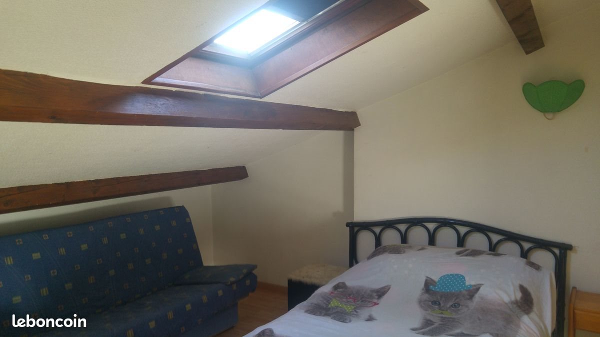 Appartement à louer, 28m², Albi
